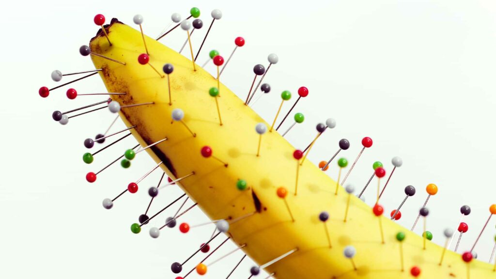 Masochismus Titelbild (symbolisch)