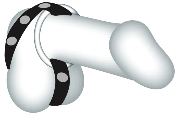 Riemen 6 Riemen - Image 7