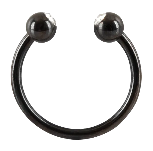 Eichelring 1 Eichelring