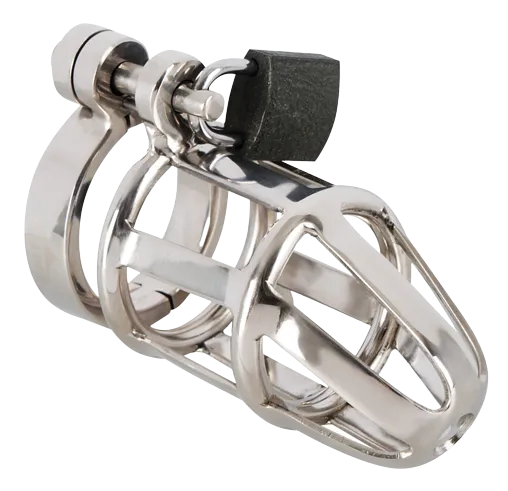 Chastity Cage 1 Chastity Cage
