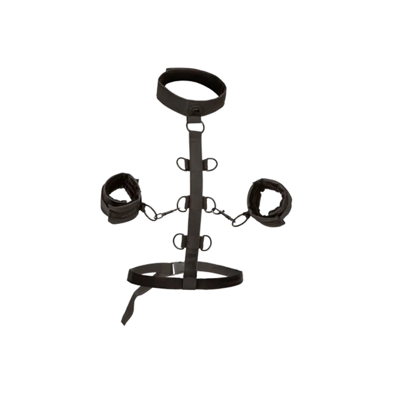 The Restraint No. 1 4 The Restraint No. 1 - Image 5